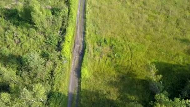 上から見たヨーロッパの田園風景 ヨーロッパでの自然の空中撮影 — ストック動画