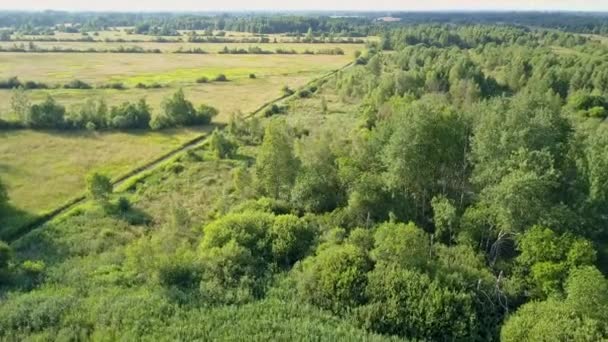 Krajobraz Obszarów Wiejskich Europy Widziany Góry Zdjęcie Natury Lotu Ptaka — Wideo stockowe