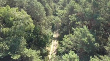 İlkbaharda ormanın hava görüntüleri.