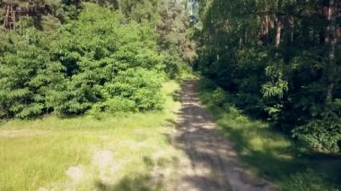 Ormandaki kişi POV binicilik bisiklet. Pürüzsüz flycam/gimbal atış spor aktivite.