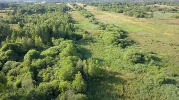 从上面看到的欧洲农村景观 欧洲的空中拍摄自然 — 图库视频影像