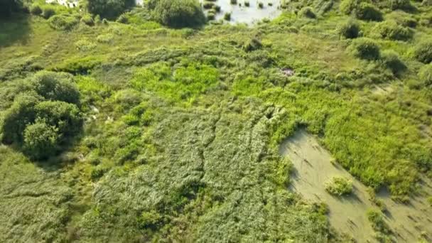 Europees Landelijk Landschap Van Bovenaf Bekeken Luchtfoto Van Natuur Europa — Stockvideo