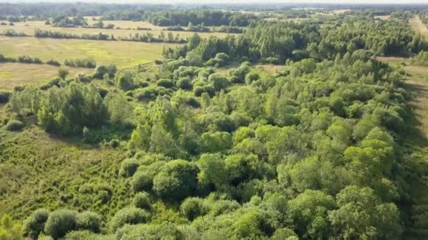 Paisaje Rural Europeo Visto Desde Arriba Fotografía Aérea Naturaleza Europa — Vídeos de Stock