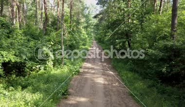 Ormandaki kişi POV binicilik bisiklet. Pürüzsüz flycam/gimbal atış spor aktivite.