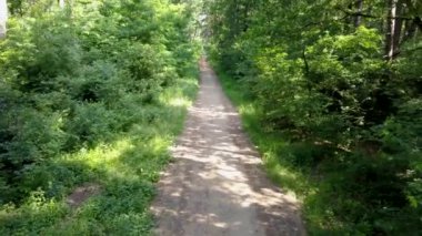 Ormandaki kişi POV binicilik bisiklet. Pürüzsüz flycam/gimbal atış spor aktivite.