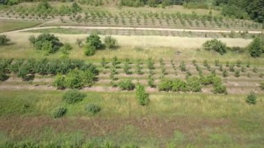 Yukarıda da görüleceği küçük meyve bahçeleri.