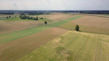 Hava alanları hemen önce hasat yabani ot dolu bardak.