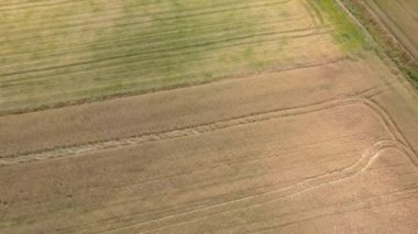 Hava alanları hemen önce hasat yabani ot dolu bardak.