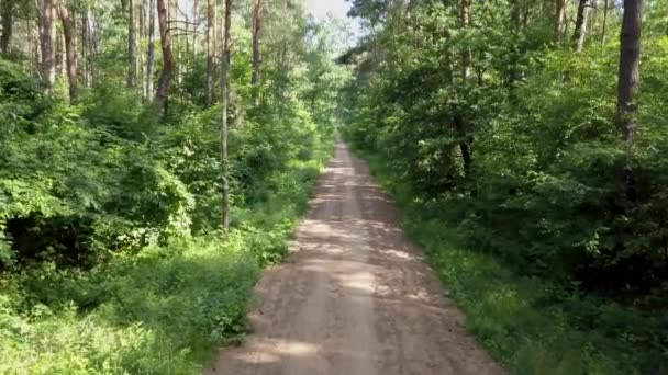 Punto Vista Persona Montar Bicicleta Bosque Flycam Suave Tiro Cardán — Vídeo de stock