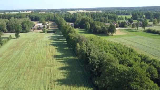 Paisaje Rural Europeo Visto Desde Arriba Fotografía Aérea Naturaleza Europa — Vídeo de stock