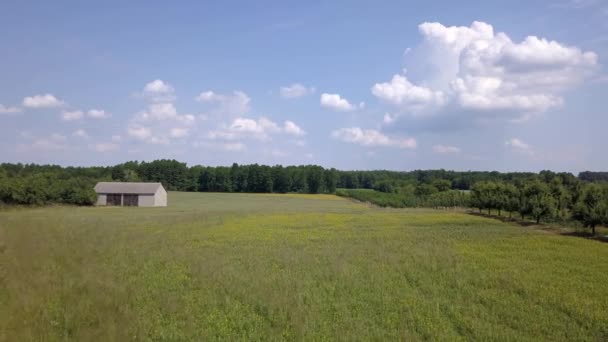 上から見たヨーロッパの田園風景 ヨーロッパでの自然の空中撮影 — ストック動画