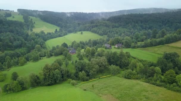 Hermosa Toma Aérea Verdes Colinas Valles Naturaleza Las Montañas Bieszczady — Vídeos de Stock