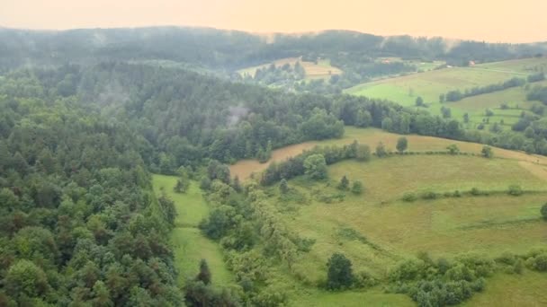 Piękne Zdjęcia Lotnicze Zielonymi Wzgórzami Dolinami Charakter Bieszczadów Góry — Wideo stockowe