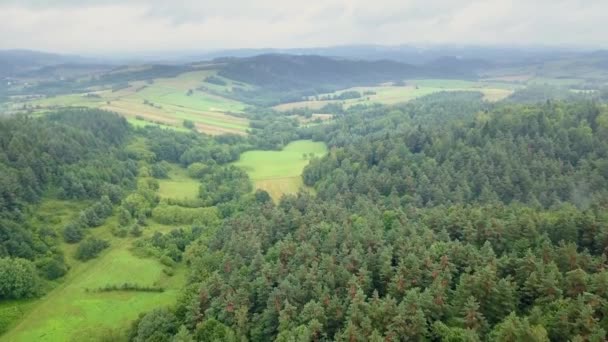 Hermosa Toma Aérea Verdes Colinas Valles Naturaleza Las Montañas Bieszczady — Vídeos de Stock