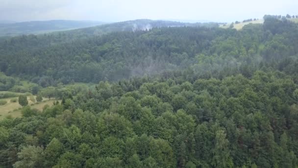 Hermosa Toma Aérea Verdes Colinas Valles Naturaleza Las Montañas Bieszczady — Vídeos de Stock