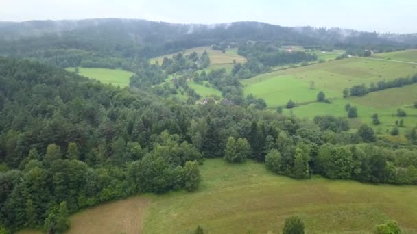 Hermosa Toma Aérea Verdes Colinas Valles Naturaleza Las Montañas Bieszczady — Vídeos de Stock