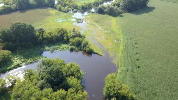 Foto Aérea Pequeño Río Con Curvas Pequeño Río Visto Desde — Vídeo de stock