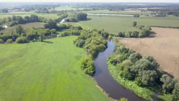 Luftaufnahme Eines Kleinen Kurvigen Flusses Kleiner Fluss Von Oben Gesehen — Stockvideo