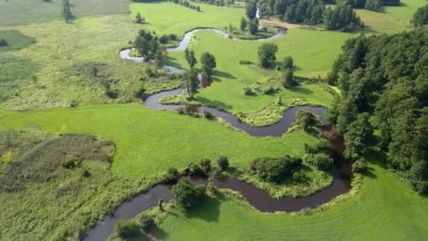 Luftaufnahme Eines Kleinen Kurvigen Flusses Kleiner Fluss Von Oben Gesehen — Stockvideo
