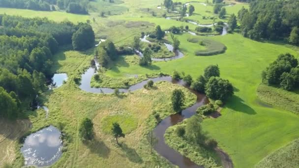 Luftfoto Lille Buet Flod Lille Flod Set Ovenfra Forårslys – Stock-video