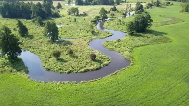 Luftaufnahme Eines Kleinen Kurvigen Flusses Kleiner Fluss Von Oben Gesehen — Stockvideo