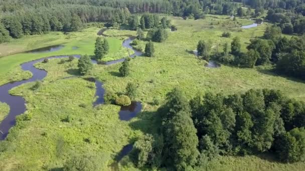 Letecký Snímek Řeky Malé Dobře Vyvinutá Říčka Ptačí Perspektivy Jarním — Stock video