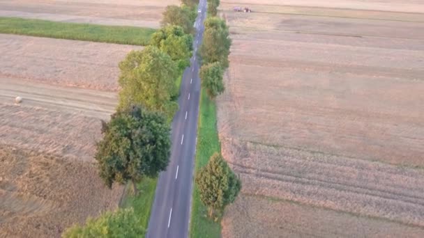 Paysage Rural Sous Soleil Couchant Chaud Champs Vus Haut — Video