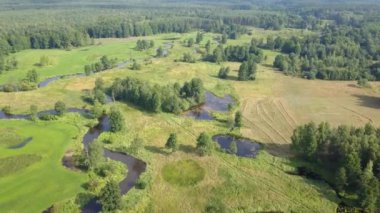 Küçük, düzgün vücutlu Nehri'nin hava atış. Yukarıda da görüleceği bahar ışık küçük nehir.