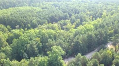 İlkbaharda ormanın hava görüntüleri.