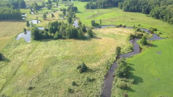 Aerial Shot Small Curvy River Small River Seen Spring Light — Stock Video