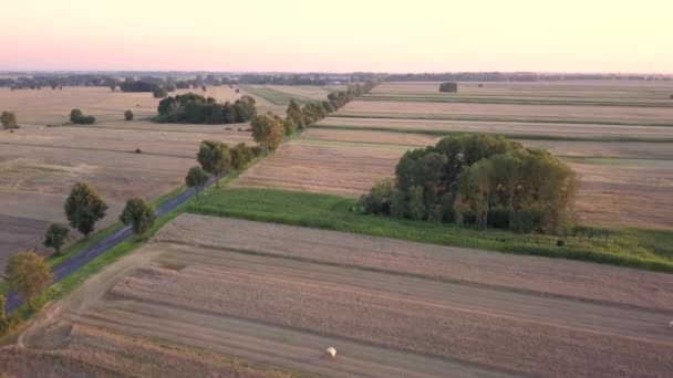 乡村景观在温暖的夕阳下 从上面看到的字段 — 图库视频影像