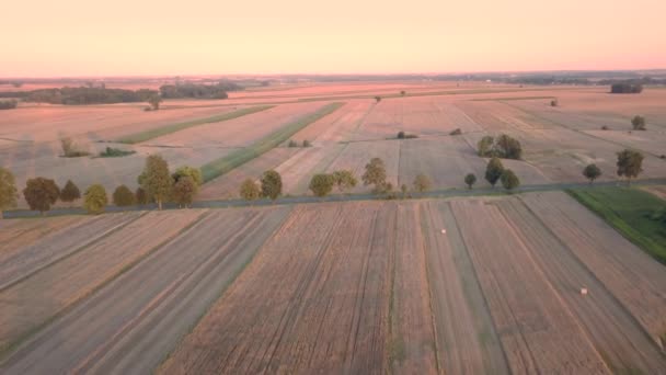 Rural Landscape Warm Sunset Light Fields Seen — Stock Video