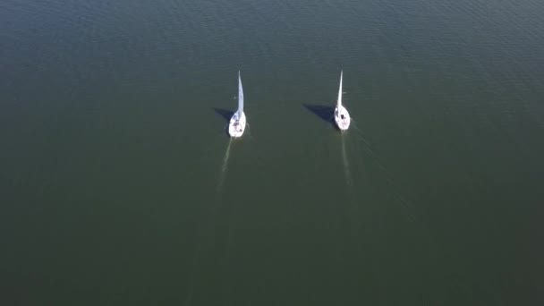 Nagrania Lotnicze Jeziora Latem Ludzie Pływający Odpoczywający Wodzie Widzianej Góry — Wideo stockowe