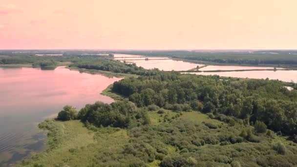 Letecké Záběry Jezera Létě Lidé Plující Odpočívající Vodě Shora — Stock video