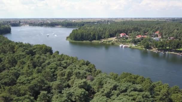 Aerial Footage Lake Summer People Sailing Resting Water Seen — Stock Video