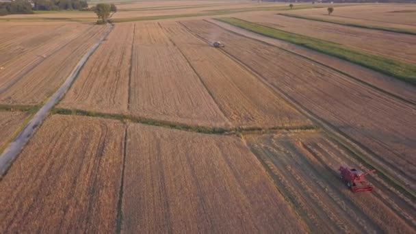 Vidéki Táj Meleg Naplemente Fény Fent Látható Mezők — Stock videók