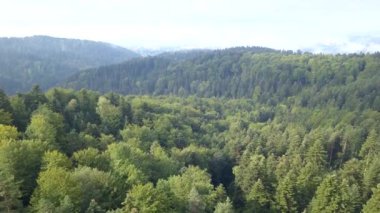 Yeşil tepeler ve vadiler güzel hava atış. Bieszczady Dağlar yukarıda da görüleceği doğası.