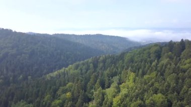 Yeşil tepeler ve vadiler güzel hava atış. Bieszczady Dağlar yukarıda da görüleceği doğası.