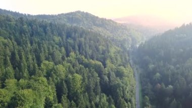 Yeşil tepeler ve vadiler güzel hava atış. Bieszczady Dağlar yukarıda da görüleceği doğası.