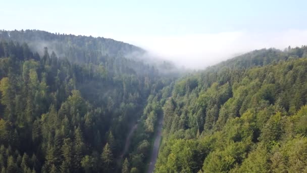 Piękne Zdjęcia Lotnicze Zielonymi Wzgórzami Dolinami Charakter Bieszczadów Góry — Wideo stockowe