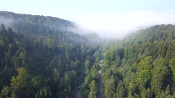 Hermosa Toma Aérea Verdes Colinas Valles Naturaleza Las Montañas Bieszczady — Vídeo de stock