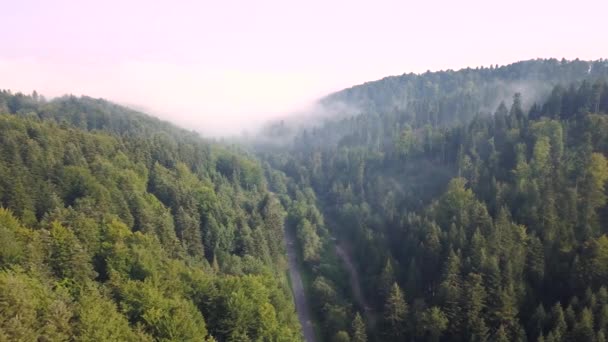 Bella Ripresa Aerea Verdi Colline Valli Natura Dei Monti Bieszczady — Video Stock