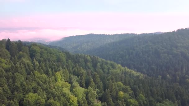 Hermosa Toma Aérea Verdes Colinas Valles Naturaleza Las Montañas Bieszczady — Vídeos de Stock