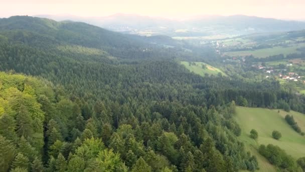 Yeşil Tepeler Vadiler Güzel Hava Atış Bieszczady Dağlar Yukarıda Görüleceği — Stok video
