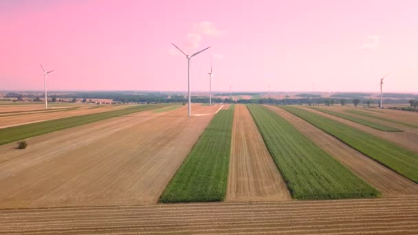 Molinos Viento Vistos Desde Arriba Imágenes Aéreas Molinos Viento Europa — Vídeo de stock