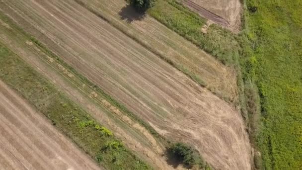 Ciągnik Polu Zdjęcia Lotnicze Krajobrazu Wiejskiego — Wideo stockowe