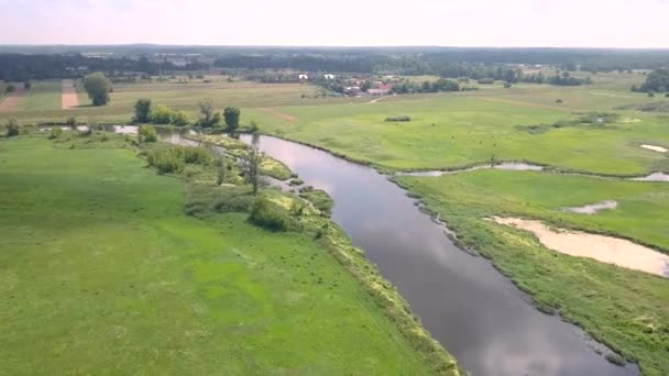 Luchtfoto Van Kleine Bochtige Rivier Riviertje Voorjaar Licht Van Bovenaf — Stockvideo