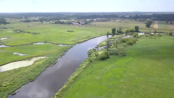 Luchtfoto Van Kleine Bochtige Rivier Riviertje Voorjaar Licht Van Bovenaf — Stockvideo