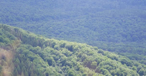 Зелёные Холмы Красивые Горы Весеннем Свете — стоковое видео