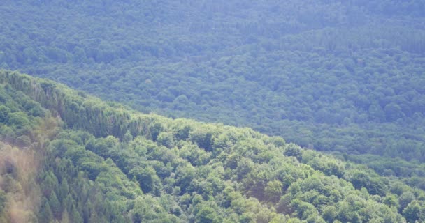 Groene Heuvels Uhd Beeldmateriaal Prachtige Bergen Voorjaar Licht — Stockvideo